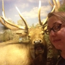 Guntzvillers Taxidermy & Spirit of the Woods Museum - Museums