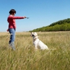 Seven Oaks Kennel gallery