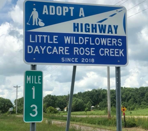 Little Wildflowers Daycare - Rose Creek, MN