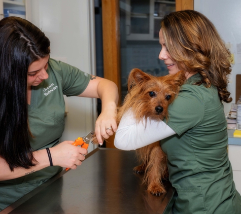 Hartsdale Veterinary Hospital - Hartsdale, NY