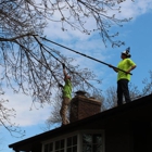 True Tree Solutions