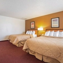 Quality Inn - Motels