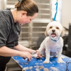 The Pet Hospitals