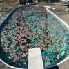 Twedell's Pool Cleaning gallery