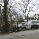 Foriest Tree Care