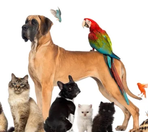 Kempsey Veterinary Clinic - Kempsey, NSW