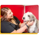 The Dog Stop - Colorado Springs Airport - Pet Services