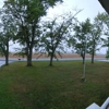 BL Tree Care gallery