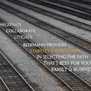 Beermann LLP - Computer & Technology Schools