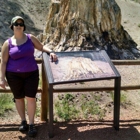 Florissant Fossil Beds National Monument