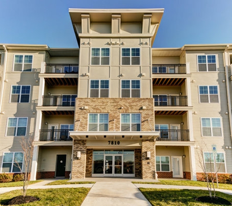 Paragon at Columbia Overlook Apartments - Elkridge, MD