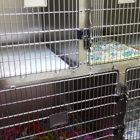 VCA Swartz Creek Animal Hospital