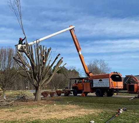 Erwin's Tree Service & Lawn Care - Marshville, NC