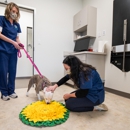 Cainhoy Veterinary Hospital - Veterinary Clinics & Hospitals