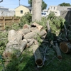 Klein's Tree Service gallery