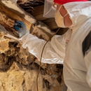 Fenix Pest Control Inc - Pest Control Equipment & Supplies