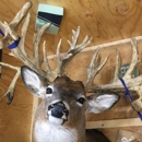 Renaud Matt - Taxidermists