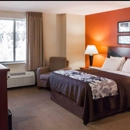 Sleep Inn Mt. Pleasant - Charleston - Motels