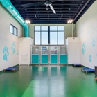 Pet Paradise