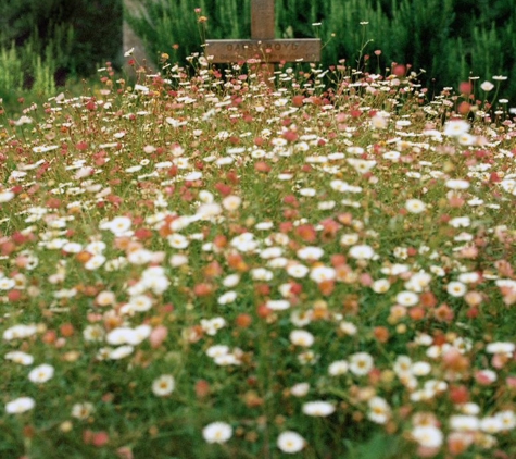 Ashland Memorial Park Cemetery - Harlingen, TX