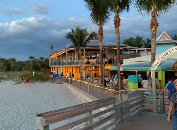 Fins At Sharky's - Venice, FL