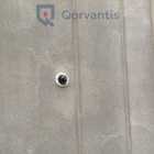 Qorvantis