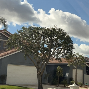 Ed's Tree Services - San Bernardino, CA