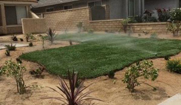 Medina's Landscaping - Newhall, CA. Mixture of grass and drought-tolerant plants.