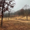 ClearCut gallery