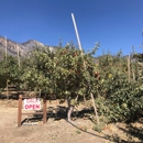 Rileys at Los Rios Rancho - Historical Places