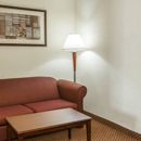 Comfort Suites Cincinnati Airport - Motels