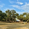 Dynamo Dusty's Tree Service gallery