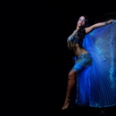 World Dance Entertainment Intl. (Sevdha.com) - Dancing Instruction