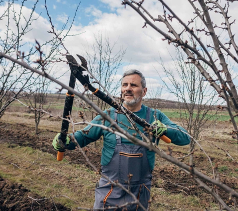 Arborall Tree Service - Flowery Branch, GA