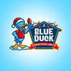 Blue Duck Christmas Lights