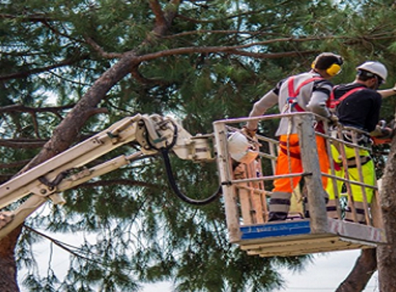 Ultimate Tree Service - Summerdale, AL