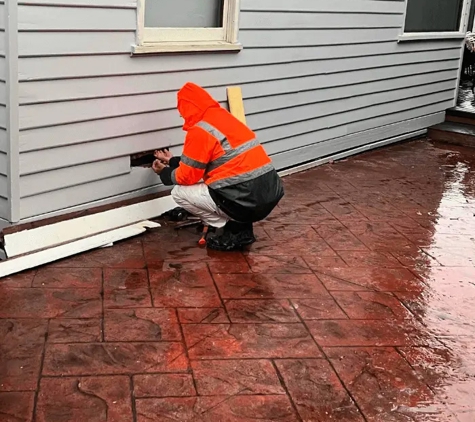 True Tint Painting - Noble Park, VIC