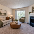 The Village at Cliffdale Apartment Homes - Apartments