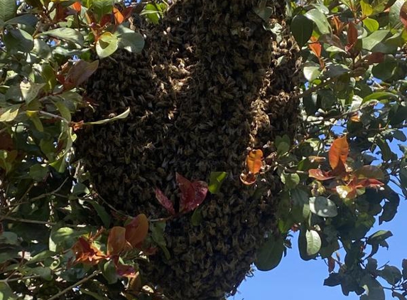 Keith Russell Bee Keeper - North Geelong, VIC