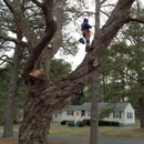 Arbor Way - Tree Service