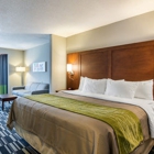 Quality Inn & Suites Ashland Near Kings Dominion