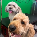 Salty Dawg Pet Salon and Bakery - Pet Grooming