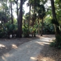 Tomoka State Park Museum