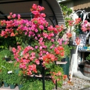 Hernando Farmers Market - Fruit & Vegetable Markets