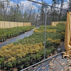 A.J.'s Evergreen Nursery