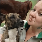 The Wright Pet Daycamp & Boarding