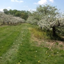Styer Orchard - Farms