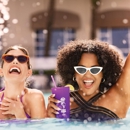 Purple Zebra at Harrah's Gulf Coast - Hotels