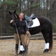 Deanna Thompson Dressage