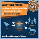 Mosquito Hunters of Hinsdale-Naperville-Bolingbrook-Downers Grove - Pest Control Equipment & Supplies